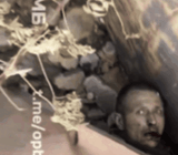 tzdgif2