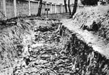 jew corpses