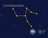 camelopardalis-flashcard