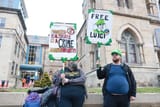 average_luigi_supporters