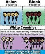 Antiracist is a codeword for AntiWhite