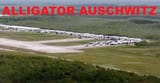 AA