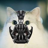 Bane Nigger Cat
