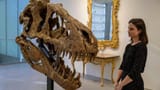 rexy