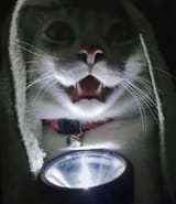 darkness comes
