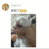 GlydybDbMAAUqsW
