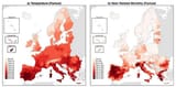 Heatmaps