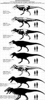 trexproof