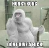 55_HONKY_KONG
