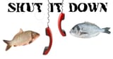FishOnFire