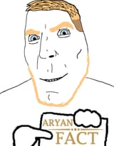 Aryan Fact