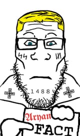 Aryan soy fact