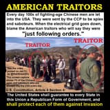american-traitors