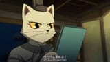 cat134