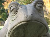 IMG_2096