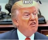 thicc