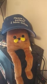 gondola autist
