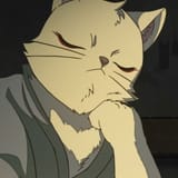cat45