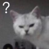 632