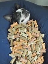 buriedinbiscuit