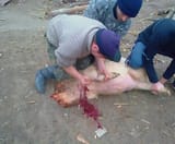 AZOVEXECUTION