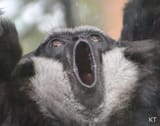 YoOouUuuU