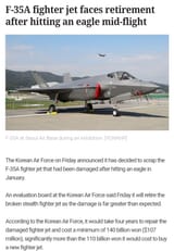 F-35 bird strike