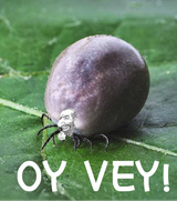 oy vey 1