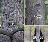 cjqFJOKFO7g07AGEpRAv6SVo6dDS3fGr