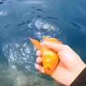 1673144497457059_thumb.jpg