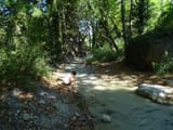 DSC00171