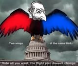 2 wings same bird vote