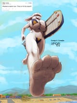 Beach Bunny