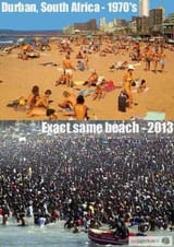 1744028537732825