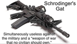 Schrodinger&#039;sGat