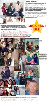Fact sheet