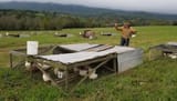 JoelSalatin-ChickenTractor-AnnAccettaScott-e1588358160503-1070287748