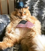 PATRIOTICPARTYKOT03