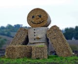 strawman