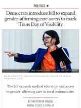dems are trannies