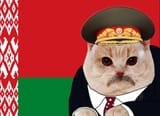 lukakotko