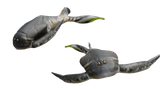 Bothriolepis canadensis