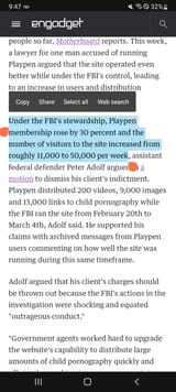 fbi runs child porn