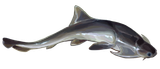 Dicksonosteus