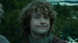 pip
