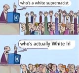 Pol