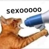 98713459
