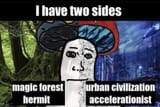 1717694019544735