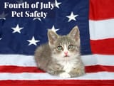 JULY4CATURDAY