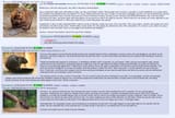 beaver-wisdom-meritocracy